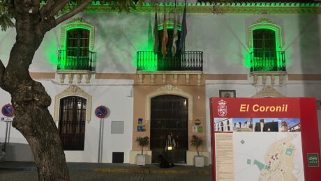 coronil iluminacion 2026 (2)