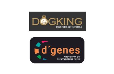 dogking perro