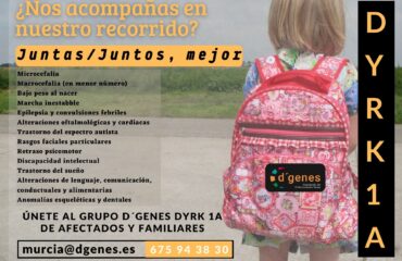 dyrk 1A grupo