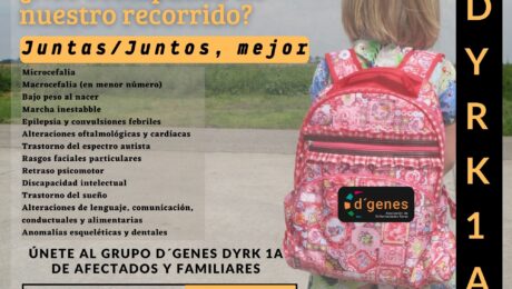 dyrk 1A grupo