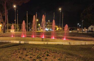 dyrk 2020 torrepachec