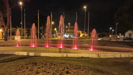 dyrk 2020 torrepachec