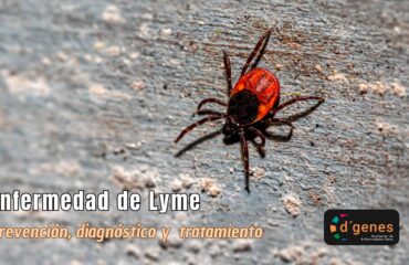 enfermedad lyme