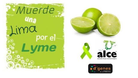 lyme lima