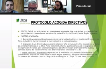 plena inclusion reunión