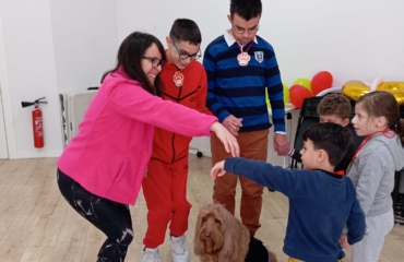 portada perro febrero